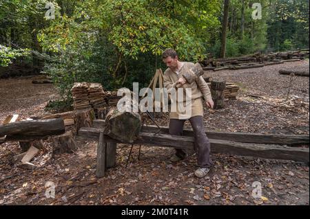 Frankreich, Yonne (89), La Puisaye, Tregy, Burg von Guedelon, Holzbearbeitungswerkstatt Stockfoto