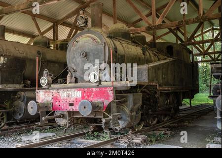 Frankreich, Yonne (89), St. Fargeau, Schloss St. Fargeau, alte Lokomotive im Park Stockfoto