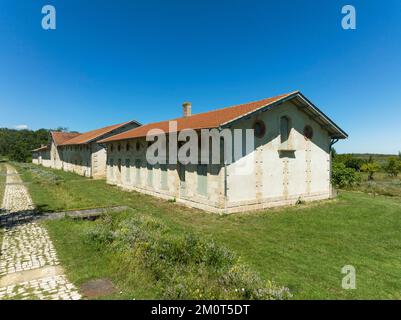 Frankreich, Gironde, Mündung der Gironde, Ile Nouvelle, 6,3 km lang zwischen Pauillac und Blaye, Eigentum des Conservatoire du Littoral, ist es ein wichtiger Ort für Vögel mit fast 190 Arten, die 2018 registriert wurden Stockfoto