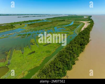 Frankreich, Gironde, Mündung der Gironde, Ile Nouvelle, 6,3 km lang zwischen Pauillac und Blaye, Eigentum des Conservatoire du Littoral, ist es ein wichtiger Ort für Vögel mit fast 190 Arten, die 2018 registriert wurden Stockfoto