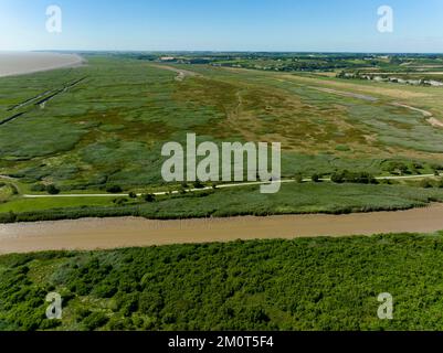 Frankreich, Charente-Maritime, Gironde-Mündung, Mortagne-sur-Gironde, Stein- und Wasserdorf und Sümpfe am Rand der größten Mündung Europas Stockfoto