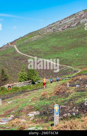 Spanien, Fürstentum Asturien, Gemeinde Allande, Wanderung auf dem Camino Primitivo, alternative Route durch Los Hospitales, spanische Pilgerroute nach Santiago de Compostela Stockfoto