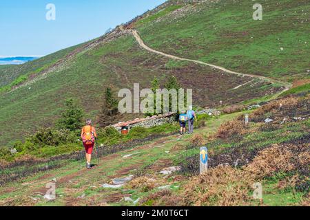 Spanien, Fürstentum Asturien, Gemeinde Allande, Wanderung auf dem Camino Primitivo, alternative Route durch Los Hospitales, spanische Pilgerroute nach Santiago de Compostela Stockfoto