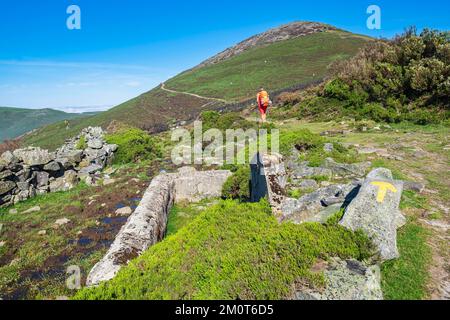 Spanien, Fürstentum Asturien, Gemeinde Allande, Wanderung auf dem Camino Primitivo, alternative Route durch Los Hospitales, spanische Pilgerroute nach Santiago de Compostela Stockfoto