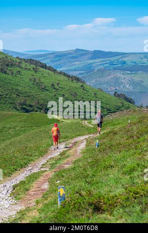 Spanien, Fürstentum Asturien, Gemeinde Allande, Wanderung auf dem Camino Primitivo, alternative Route durch Los Hospitales, spanische Pilgerroute nach Santiago de Compostela Stockfoto