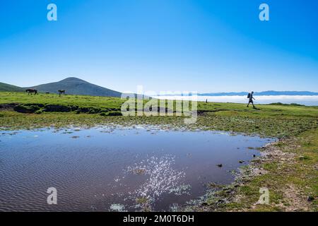 Spanien, Fürstentum Asturien, Gemeinde Allande, Wanderung auf dem Camino Primitivo, alternative Route durch Los Hospitales, spanische Pilgerroute nach Santiago de Compostela Stockfoto