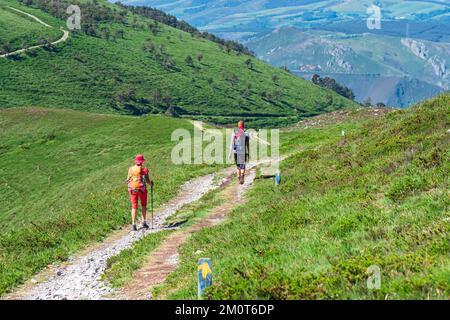 Spanien, Fürstentum Asturien, Gemeinde Allande, Wanderung auf dem Camino Primitivo, alternative Route durch Los Hospitales, spanische Pilgerroute nach Santiago de Compostela Stockfoto