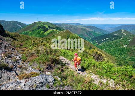 Spanien, Fürstentum Asturien, Gemeinde Allande, Wanderung auf der Camino Primitivo, spanische Pilgerroute nach Santiago de Compostela Stockfoto