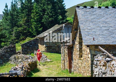 Spanien, Fürstentum Asturien, Gemeinde Allande, Dorf Montefurado, Wanderung auf der Camino Primitivo, spanische Pilgerroute nach Santiago de Compostela Stockfoto
