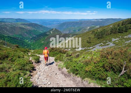 Spanien, Fürstentum Asturien, Gemeinde Allande, Wanderung auf der Camino Primitivo, spanische Pilgerroute nach Santiago de Compostela Stockfoto