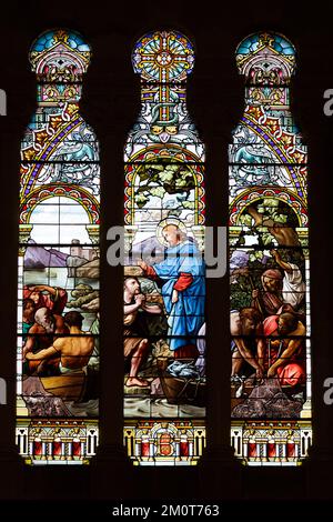 Frankreich, Meurthe et Moselle, Nancy, die Basilika Sacré Coeur de Nancy im römischen Byzantin-Stil in der Rue de Laxou, Buntglasfenster von Jules Janin namens La peche miraculeuse (der wundersame Fang der Fische) Zerstört durch Muscheln im Jahr 1917 restauriert im Jahr 1922 von Georges Janin und Jerome Benoit, mit zusätzlicher vegetarischer Dekoration, die an die Oberlichter im Jugendstil erinnert Stockfoto