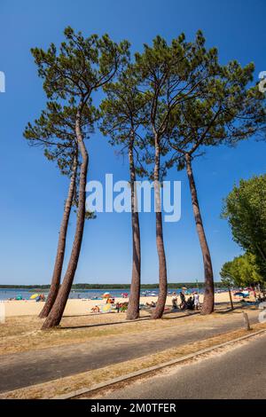 Frankreich, Landes, Sanguinet, Sandstrand von Etang de Cazaux und Sanguinet Stockfoto