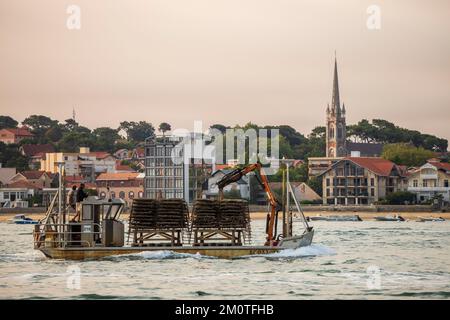 Frankreich, Gironde, Arcachon, Schiff mit Austerntaschen, die Basilika Notre-Dame d'Arcachon im Hintergrund Stockfoto