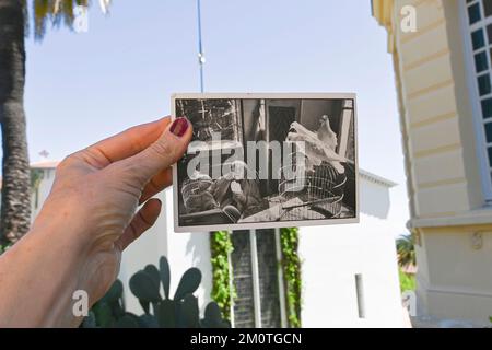 Frankreich, Alpes Maritimes, Vence, Rosenkranz-Kapelle, dekoriert von Henri Matisse, Altar in Rogne Stein, Kerzenleuchter und Kruzifix Stockfoto