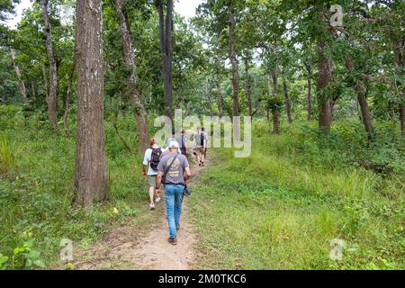 Nepal, Terai Region, Narayani Gegend, Chitwan Nationalpark, Ausflug in den Wald mit einem Reiseleiter Stockfoto