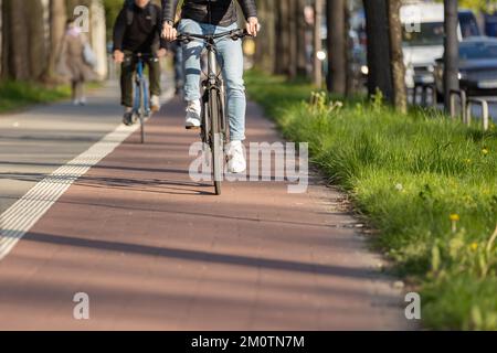 Roter Fahrradweg neben Bürgersteig Stockfoto