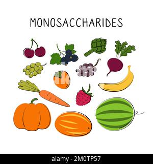 Einsaccharidhaltige Lebensmittel. Gruppen von gesunden Lebensmitteln mit Vitaminen und Mineralstoffen. Set aus Obst, Gemüse, Fleisch, Fisch und Milchprodukten. Stock Vektor