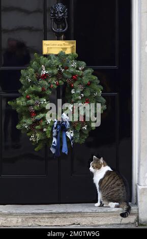 Larry the Cat - seit 2011 Chef Mouser im Kabinett - in der Downing Street Stockfoto