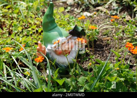 Kleine Zwerge verstecken sich im Garten Stockfoto