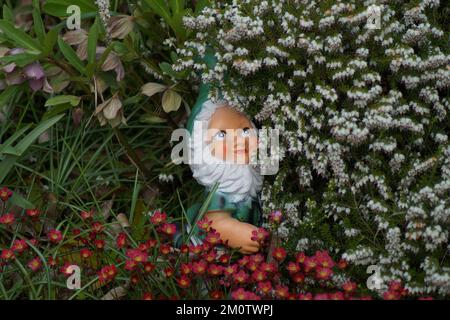 Kleine Zwerge verstecken sich im Garten Stockfoto