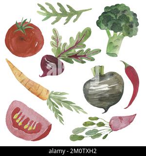 Gemüse. Aquarell-Gemüseset. Illustration frischer vegetarischer Speisen. Stockfoto