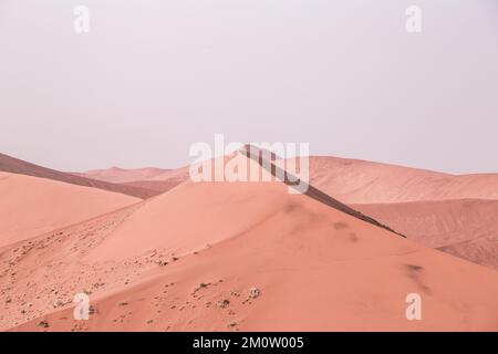 Fotografie der Big Daddy Dune in sossusvlei Stockfoto