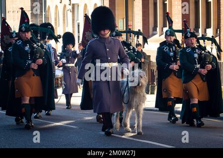 Windsor, Berkshire, Großbritannien. 8.. Dezember 2022. Es war ein kalter, aber heller, sonniger Morgen für den Wachwechsel in Windsor heute Morgen. Wolfhound Seamus, das Maskottchen der irischen Garde, führte die Nummer 12 der irischen Garde, die Rohre der Nummer 12 der irischen Garde und die Windsor Guard Castle Guard, als sie nach Windsor Castle marschierten. Seamus heißt offiziell Turlough Mor. Kredit: Maureen McLean/Alamy Live News Stockfoto