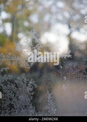 Nahaufnahme von gefrorenen Eiskristall-Frostmustern auf einem Gewächshausfenster mit verschwommenen Bäumen im Hintergrund Stockfoto