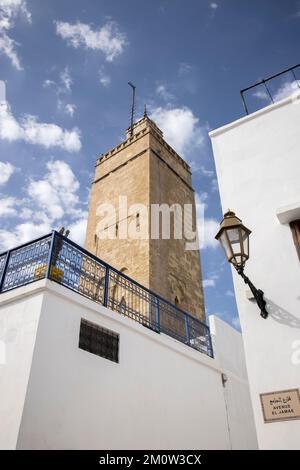 Weiße Gebäude und Moschee im Inneren der Kasbah oder des Forts der marokkanischen Hauptstadt rabat Stockfoto