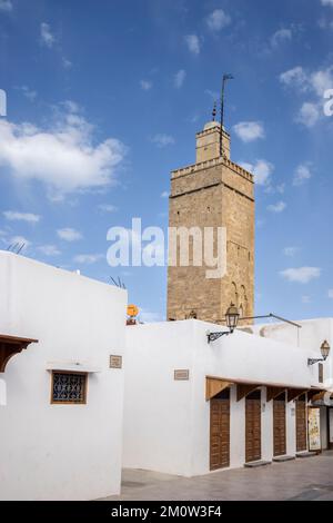 Weiße Gebäude und Moschee im Inneren der Kasbah oder des Forts der marokkanischen Hauptstadt rabat Stockfoto