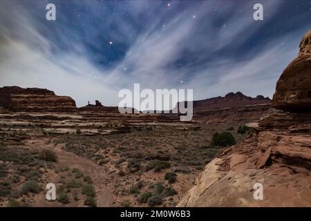 Die Nacht im Horse Canyon im Maze District des Canyonlands-Nationalparks in Utah ist im Frühling zu sehen. Der Himmel ist voller Sterne. Stockfoto