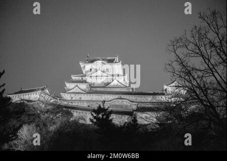 Himeji, Japan - 7. Januar 2020. Nachtaufnahme des Schlosses Himeji in Japan. Himeji ist eine der wenigen verbliebenen traditionell erbauten japanischen Burgen. Es ist eine große Touristenattraktion. Stockfoto