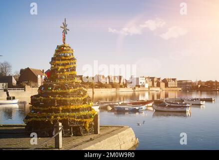 Weihnachtsbaum aus Hummertöpfen Stockfoto