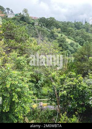 Bergszene von Dalat, Vietnam. Dalat ist eine berühmte Touristenstadt in Südostasien. Stockfoto