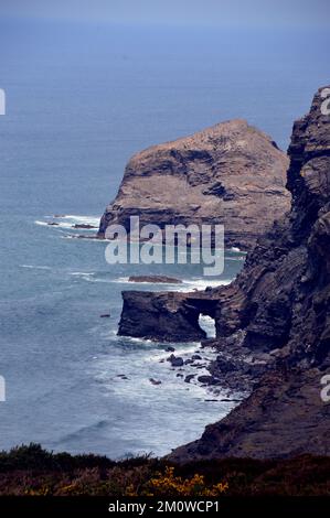 Samphire Rock, Northern Door Arch und Cambeak vom South West Coastal Path in Cornwall, England, Großbritannien. Stockfoto