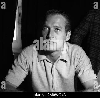Amerikanischer Schauspieler Paul Newman, während eines Interviews beim Mar del Plata Film Festival 1962, Argentinien Stockfoto