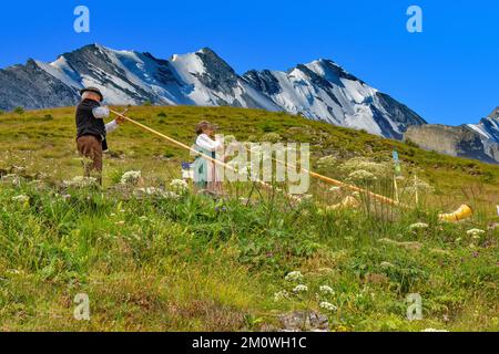 Zwei Alphornspieler Grindelwald, Schweiz. Stockfoto