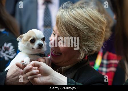 Edinburgh, Schottland, Großbritannien. 8.. Dezember 2022. IM BILD: Michelle Thomson MSP mit einem Welpen. Fotoanruf mit MSPs, die Welpen festhalten, während der schottische SPCA einen Fotoanruf macht, der besagt, dass keine Hundehändler in der Gartenlobby des schottischen Parlaments Holyrood sind. Kredit: Colin D Fisher Kredit: Colin Fisher/Alamy Live News Stockfoto