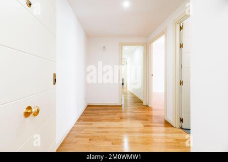 Halle und Verteiler eines Hauses mit gepanzerter Zugangstür und Zugang zu Räumen mit weiß lackierten Holztüren und schwimmendem Eichenboden und Glätte Stockfoto