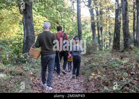 Familienmitglieder machen einen entspannenden Spaziergang durch den Herbstwald im Oktober, Vater hält einen Korb für Pilze zum Sammeln, umweltfreundliches Picknick Stockfoto