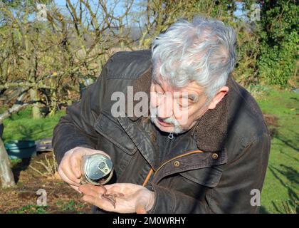 Ein Würmerkonservenkonzept öffnen. Etwas zu starten, was zu mehr Ärger geführt hat. Er bittet um Ärger. Stockfoto