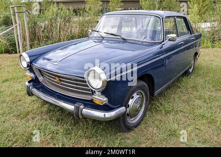 Vorderansicht eines klassischen dunkelblauen Peugeot Modell 404 auf einem Feld Stockfoto