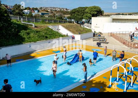 Das jährliche Hundeschwmmen im Saltdean Lido Swimming Pool, Saltdean, East Sussex, Großbritannien. Stockfoto