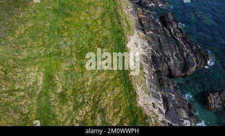 Dichtes Gras am Ufer. Mit Gras bedeckte Felsen an der Atlantikküste. Natur von Irland, Draufsicht. Stockfoto