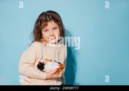 Ein süßes lächelndes kleines Mädchen hält ein hübsches, buntes Meerschweinchen in den Händen vor blauem Studiohintergrund. Speicherplatz kopieren Stockfoto