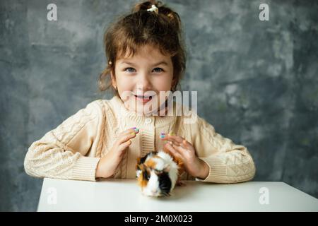 Lachendes, neugieriges, zufriedenes kleines Mädchen hält sich an den Händen über dem kleinen fleckigen Meerschweinchen, vorsichtig auf dem Tisch. Tierärztliche Versorgung Stockfoto