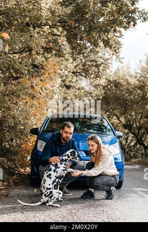 Ein junges Paar amüsiert sich draußen mit einem dalmatinischen Hund. Stockfoto