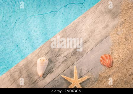 Muscheln von oben auf einem Holzpflaster über einem Pool mit Seesternen gesehen. Atmosphärenurlaub im Sommer. Stockfoto