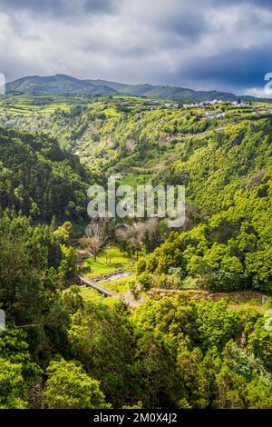 Wunderschönes Tal in Achada, Insel Sao Miguel, Azoren, Portugal, Europa Stockfoto