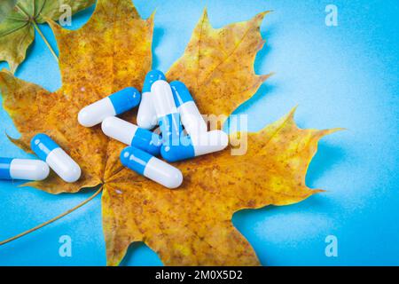 Tabletten auf Herbstblatt. Herbst Ahornblatt und Medikamente auf blauem Hintergrund. Stockfoto